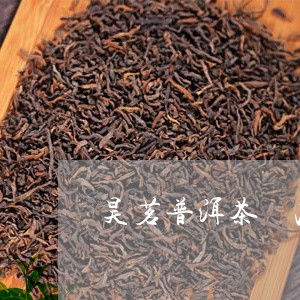 昊茗普洱茶 冰岛/2023031775159